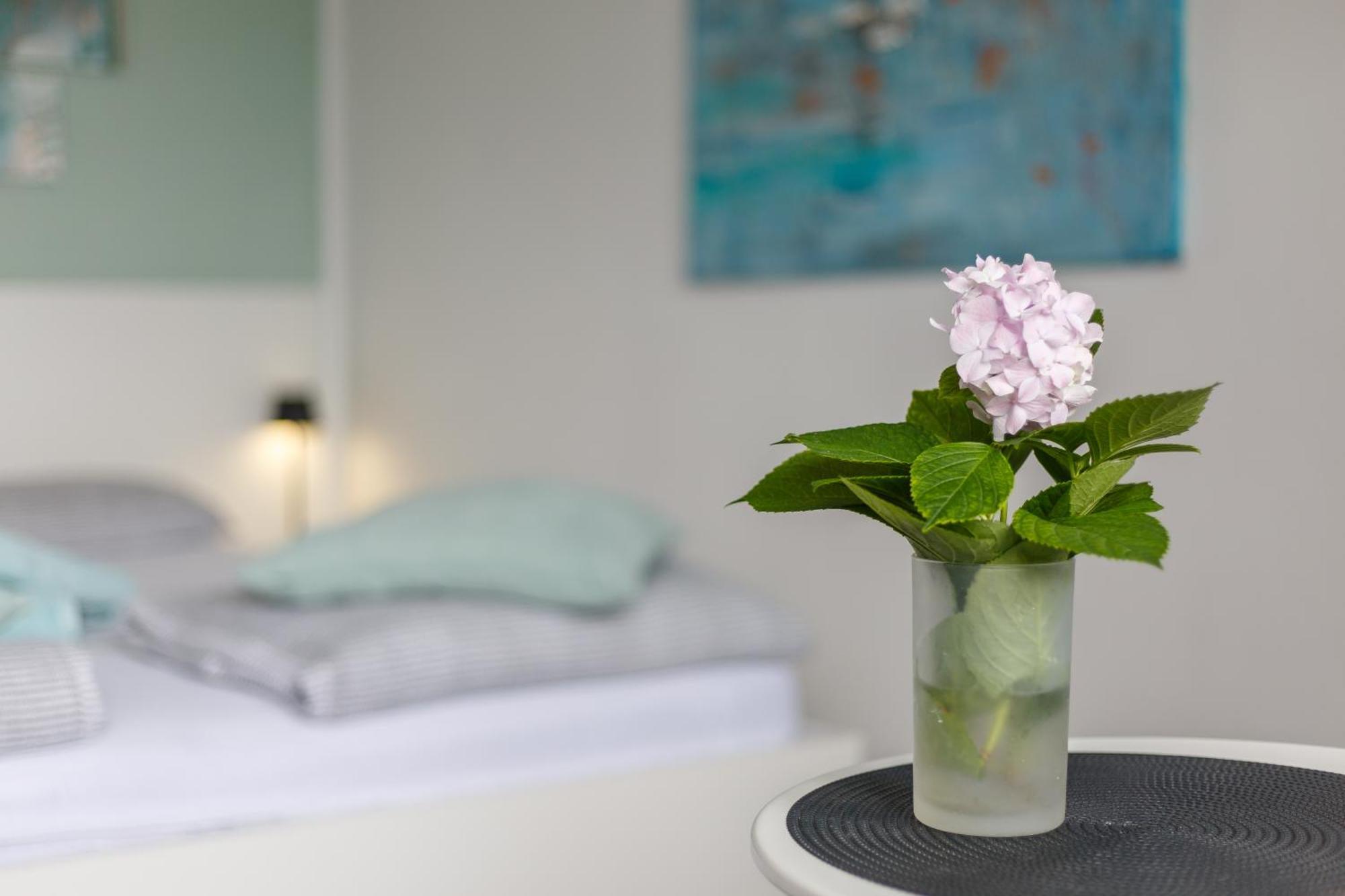 Ana Apartment ツリクヴェニツァ エクステリア 写真