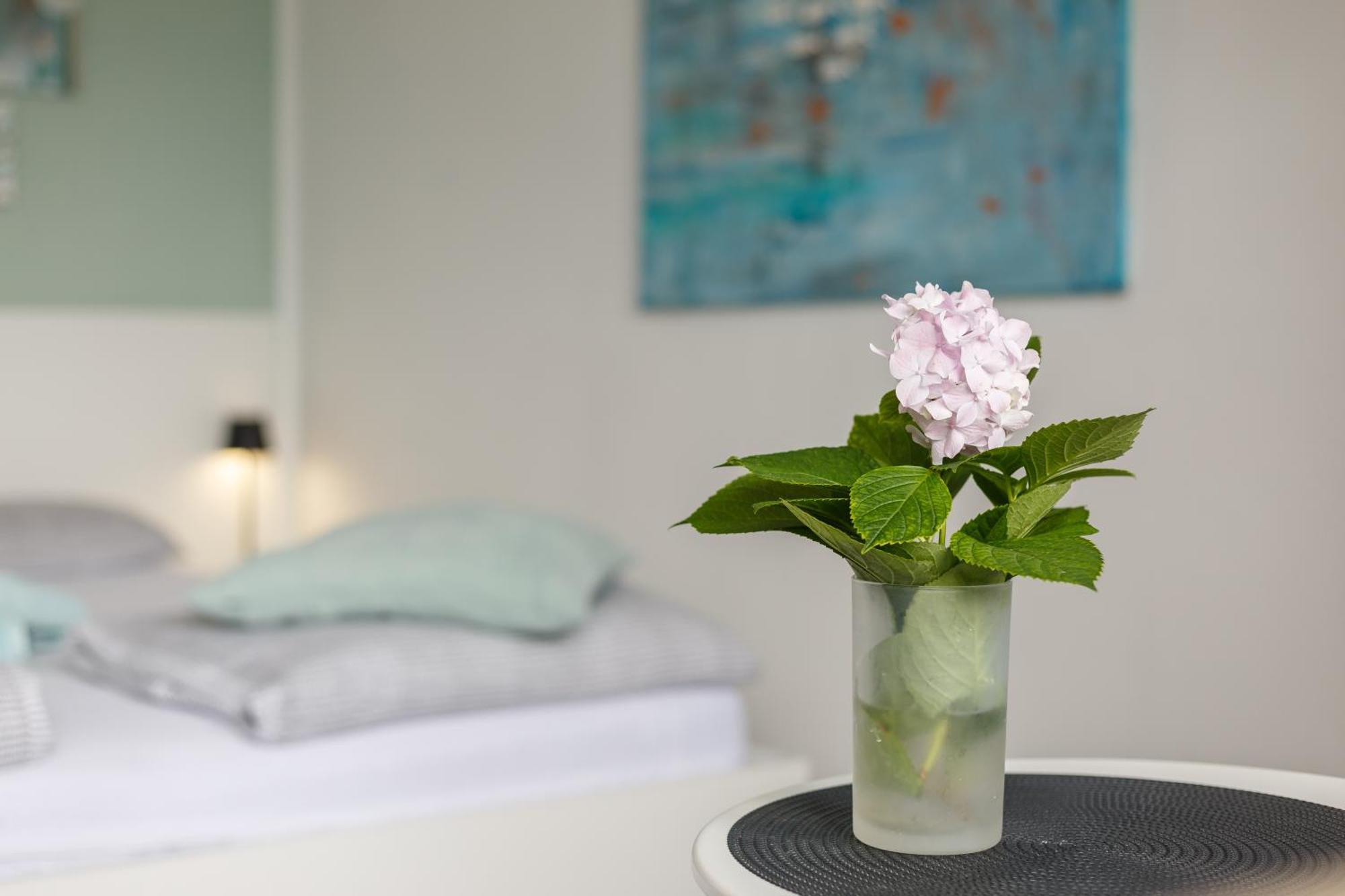 Ana Apartment ツリクヴェニツァ エクステリア 写真